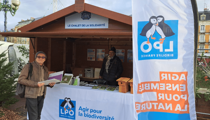 Chalet givré sur le marché de noël de Belfort